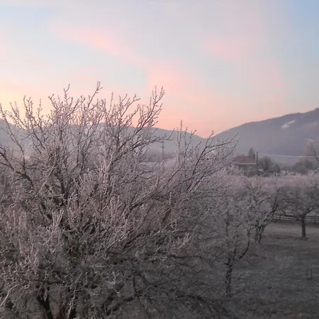 Pensiunea Poezii Alese